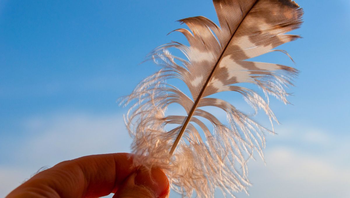 M&aacute;s ligero que una pluma y tan fuerte que los hombres no pueden aguantarme por m&aacute;s de dos minutos. &iquest;Qu&eacute; soy?