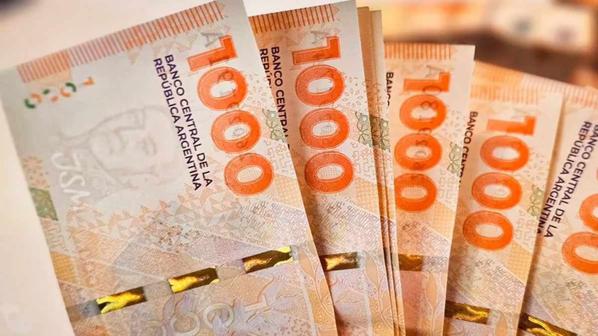 ANSES y Milei confirmaron si habrá aguinaldo para AUH, AUE y SUAF en junio 2024