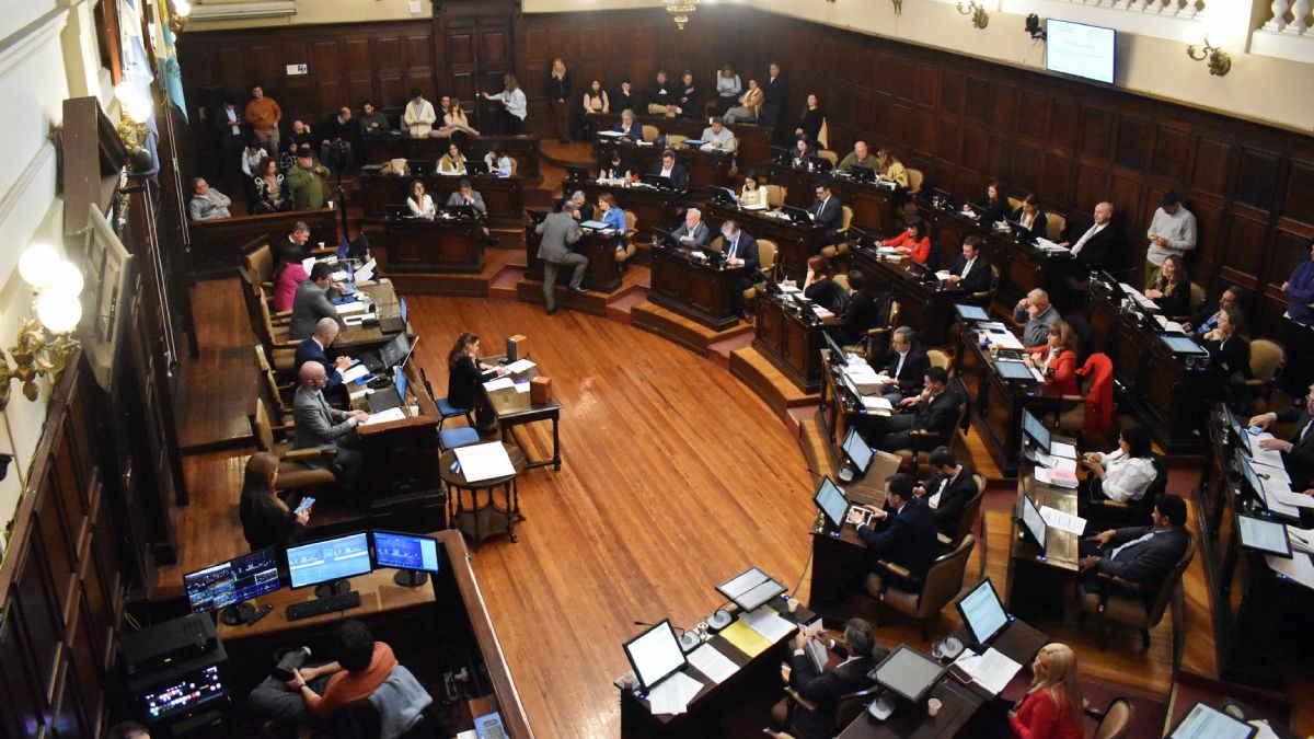 La Cámara de Diputados aprobó los cambios al Código Contravencional de Mendoza.