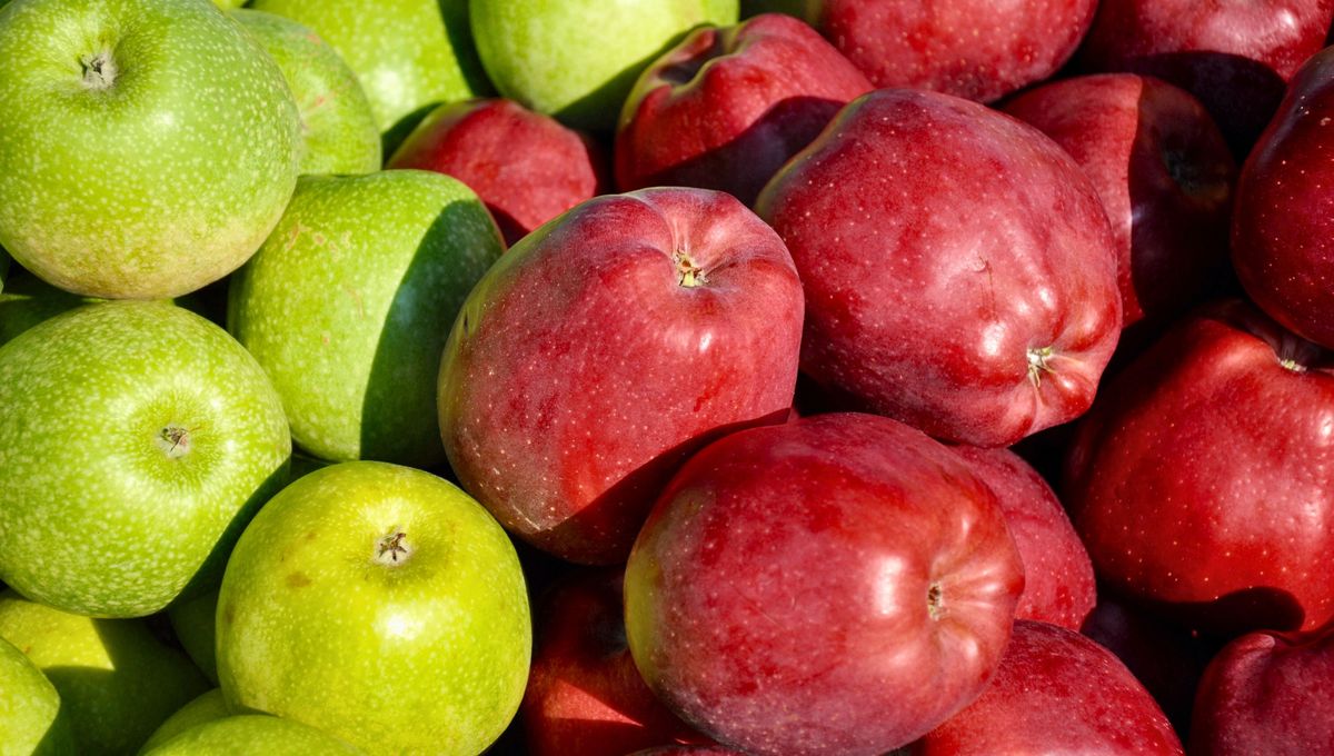 Continúa leyendo para conocer las principales diferencias entre estos dos alimentos dulces y ricos.