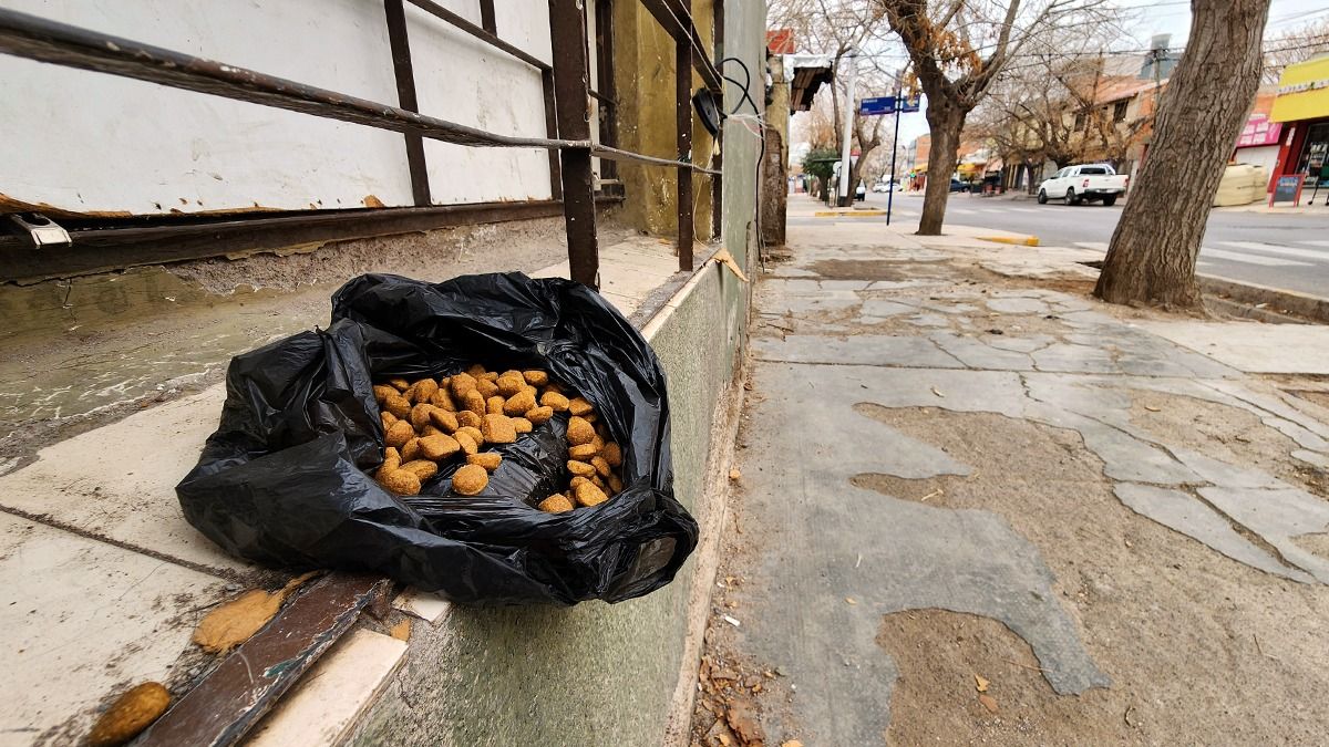 Los vecinos estaban preocupados por los perros ya que habían atacado a un hombre. Los vecinos estaban preocupados por los perros ya que habían atacado a un hombre.