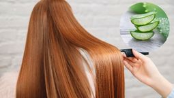 El aloe vera puede aportar grandes beneficios en tu pelo.