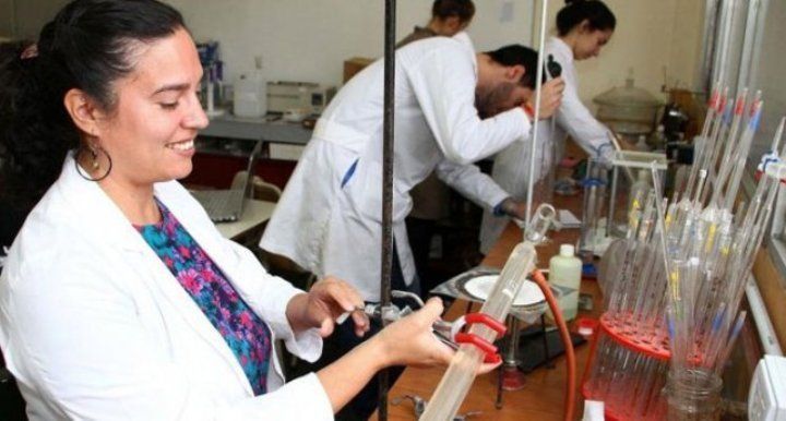 Análisis de sangre gratuitos para detectar a personas celíacas