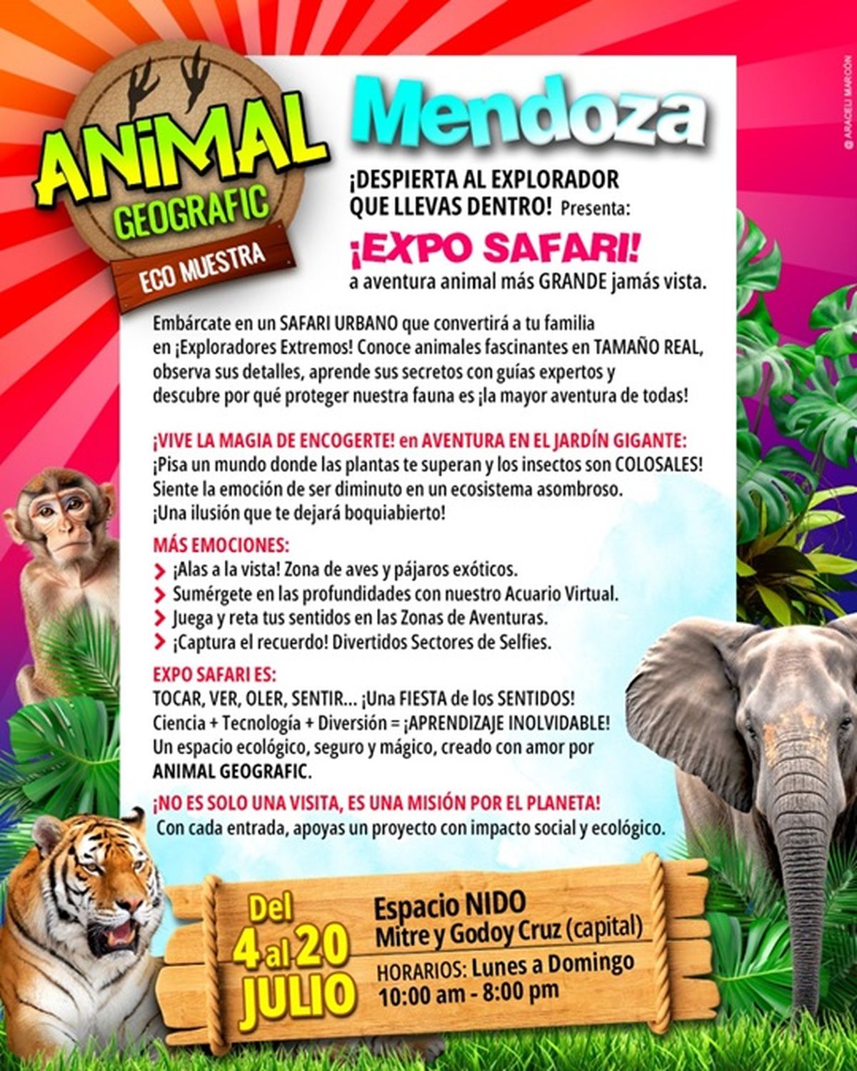 La expo safari es un espacio ecológico, seguro y mágico, creado con amor por Animal Geografic. La expo safari es un espacio ecológico, seguro y mágico, creado con amor por Animal Geografic.