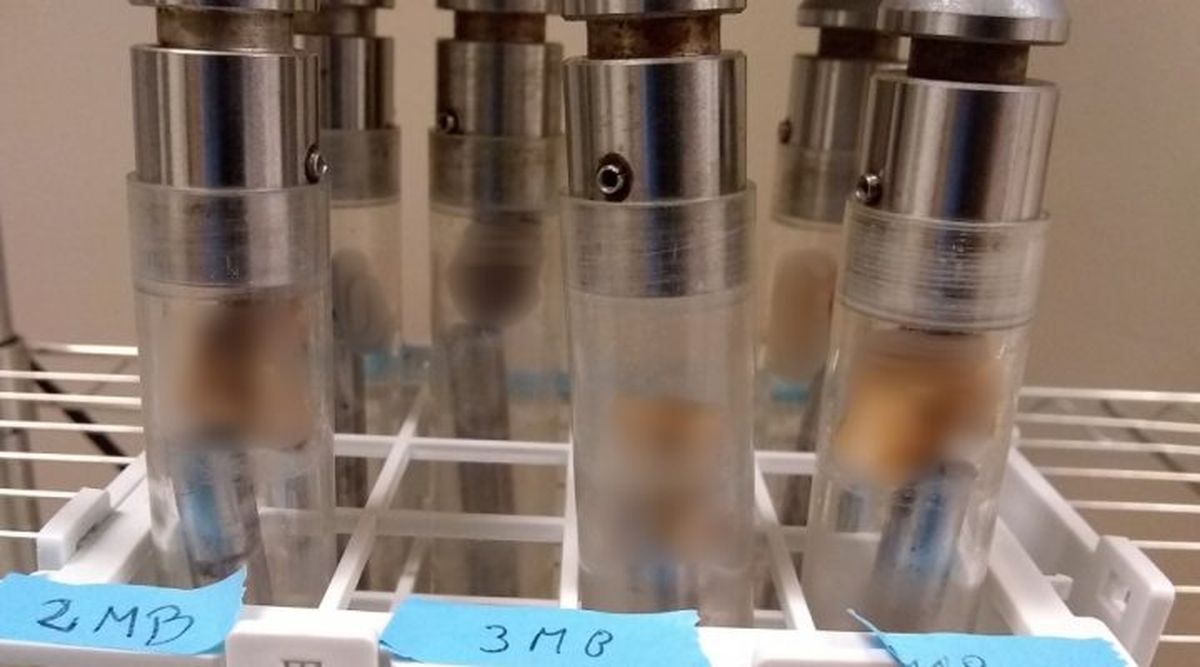 El trabajo que llev&oacute; al descubrimiento comenz&oacute; en el a&ntilde;o 2017.