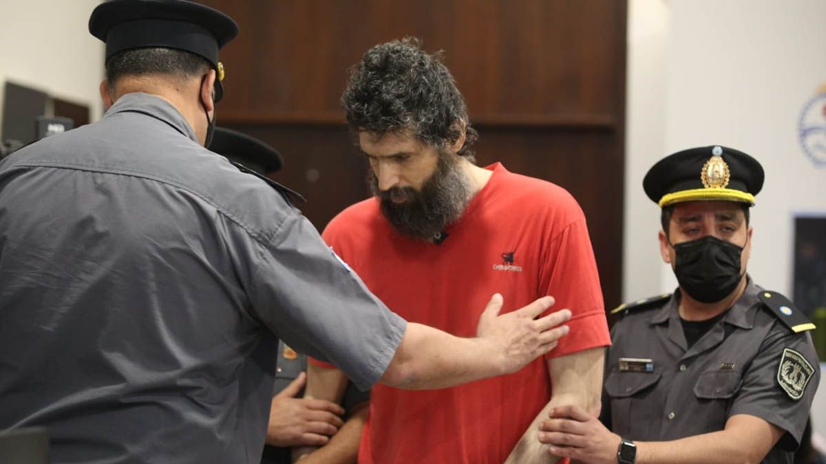 Actualmente, Gil Pereg está estable y muy tranquilo. Ya no maulla cuando se siente incómodo con alguna situación.