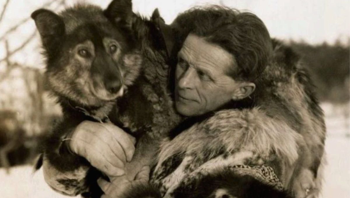 El día que un perro recorrió kilómetros con temperaturas bajo cero y entregó medicina que salvaría a un pueblo