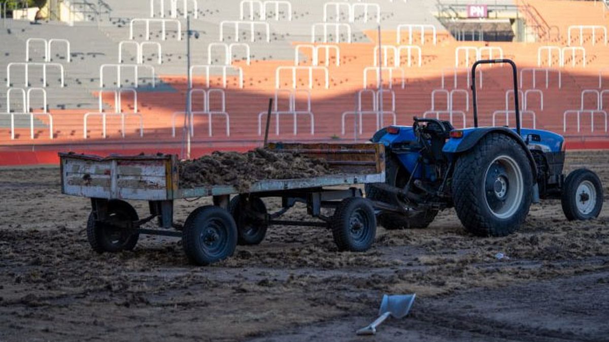 La colocación de los rollos con 10.000 metros cuadrados de césped demora 10 días. Además realizarán la nivelación del campo de juego. La colocación de los rollos con 10.000 metros cuadrados de césped demora 10 días. Además realizarán la nivelación del campo de juego.