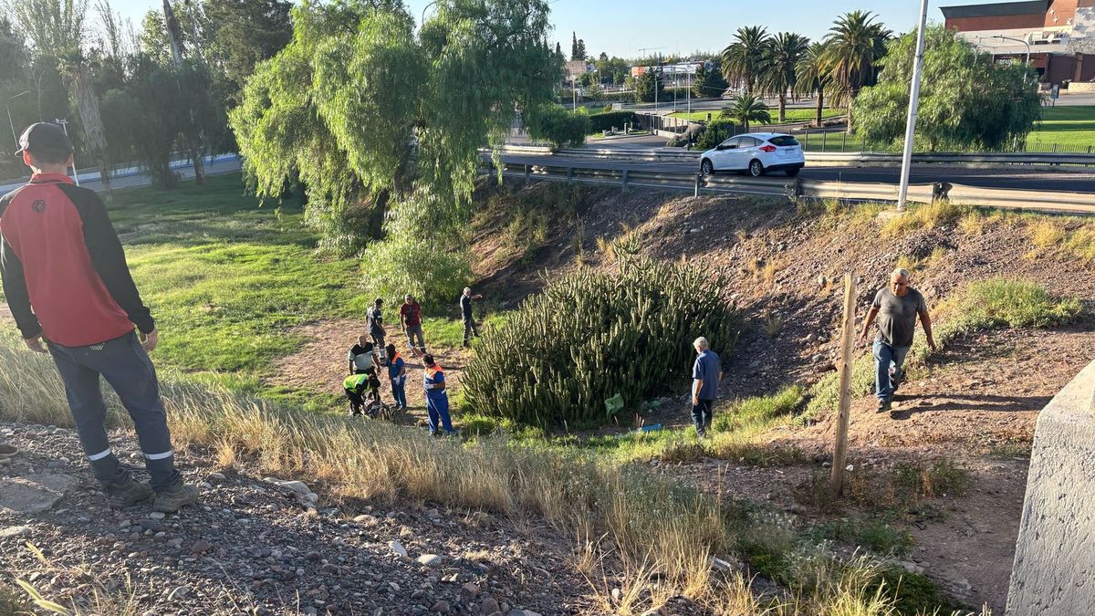 El empleado municipal atropellado voló 20 metros y cayó hacia el costado de la Virgen de la Merced, en Maipú. El empleado municipal atropellado voló 20 metros y cayó hacia el costado de la Virgen de la Merced, en Maipú.