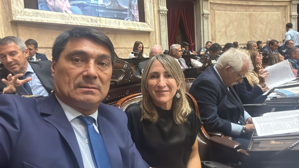 Mercedes Mechi Llano, diputada nacional por Mendoza. Mercedes Mechi Llano, diputada nacional por Mendoza.