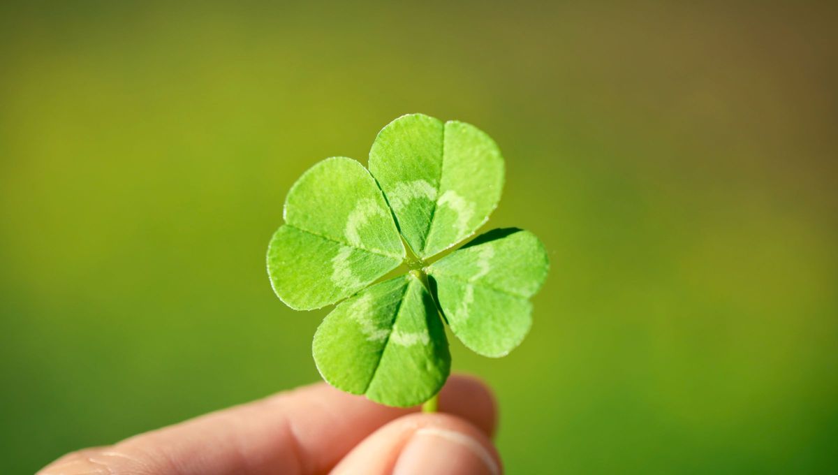 La suerte estará de tu lado si usas estos colores. La suerte estará de tu lado si usas estos colores.