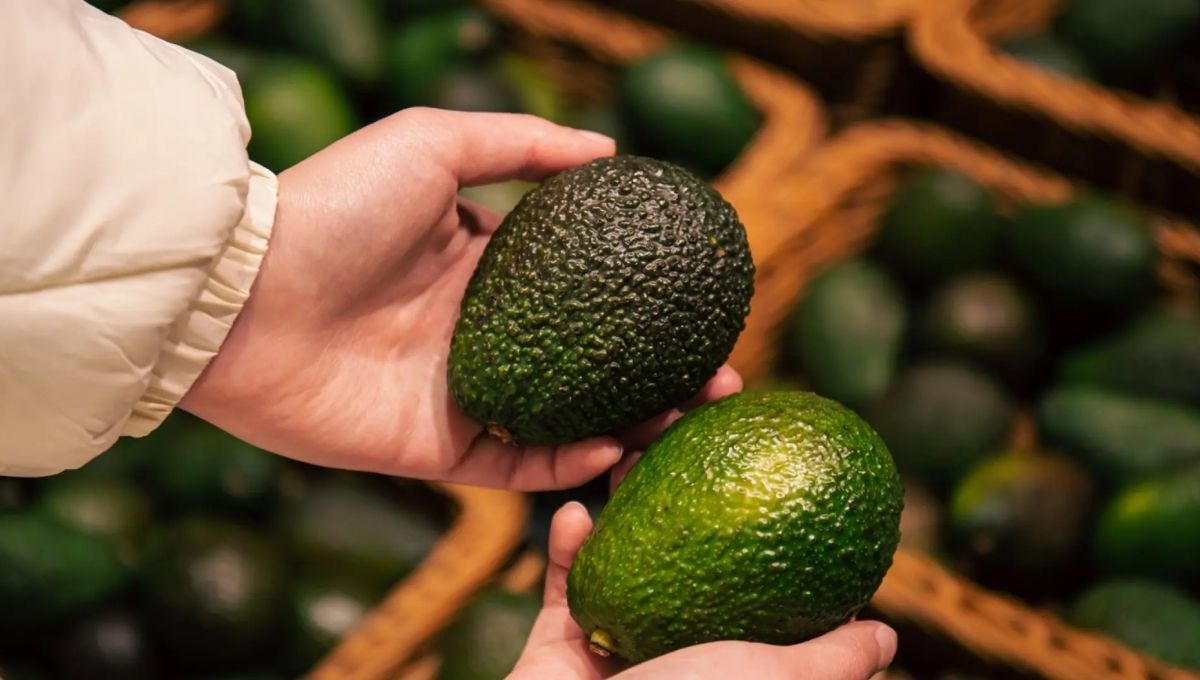 El infalible truco para saber si la palta o el aguacate está maduro antes de comprarlo