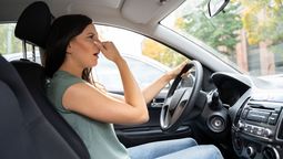 El truco de tres ingredientes para acabar con el mal olor en el auto. Imagen: El País