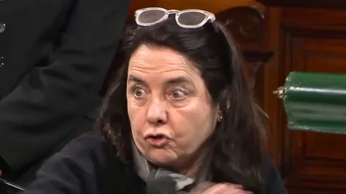 La senadora Carmen Álvarez Rivero generó un escándalo en el Senado en el debate por el prespuesto del hospital Garrahan.