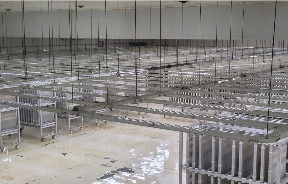 En estas celdas se crían masivamente los insectos y luego de un proceso de maduración son esterilizados con radiación. En estas celdas se crían masivamente los insectos y luego de un proceso de maduración son esterilizados con radiación.