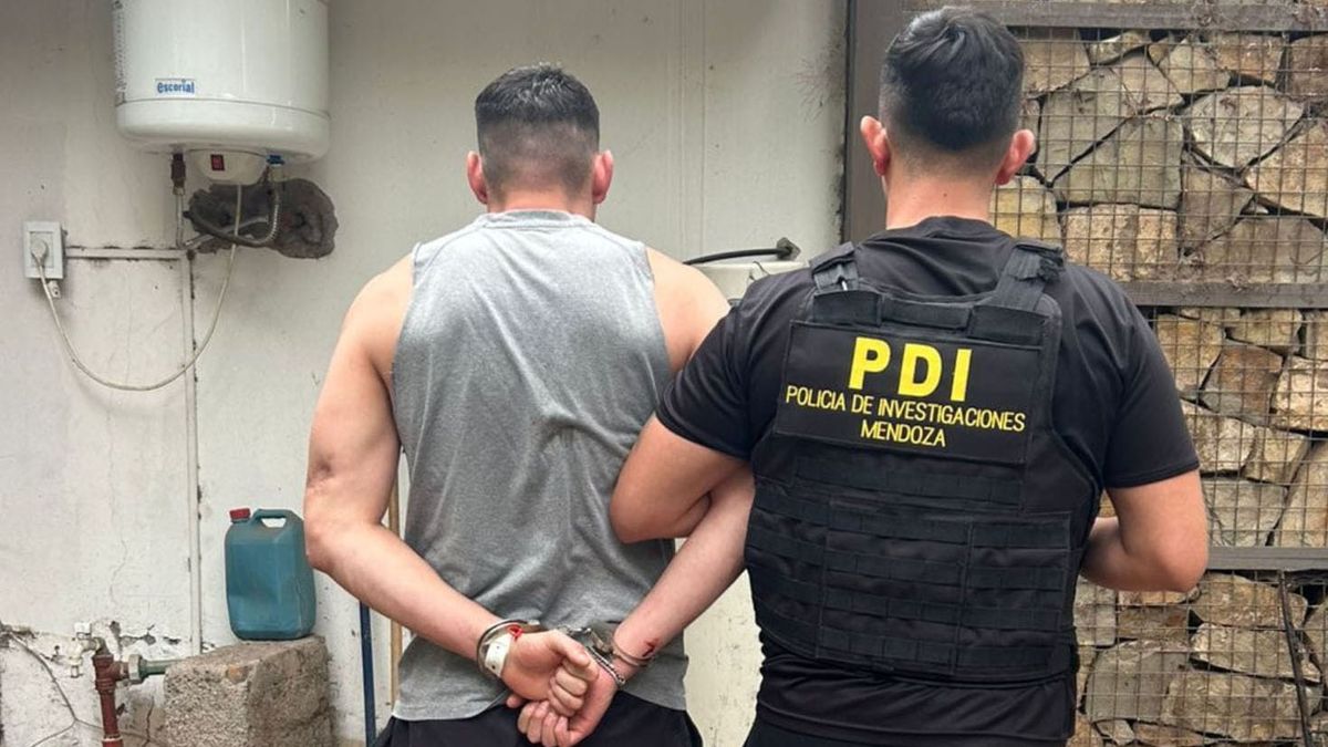 Se establece un plazo de 10 d&iacute;as h&aacute;biles para la recolecci&oacute;n de pruebas, con la chance de prorrogarlo por otros 10 d&iacute;as si el caso es complejo.