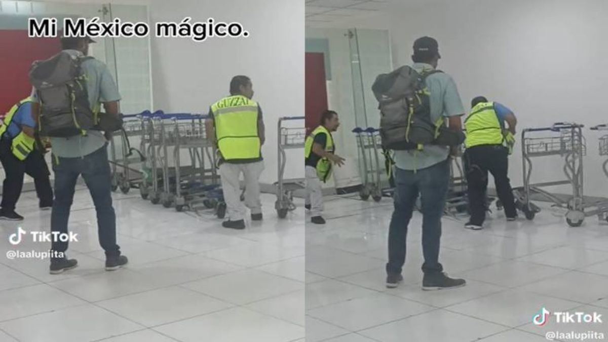 Un aeropuerto quedó de cabeza por un inesperado animalito