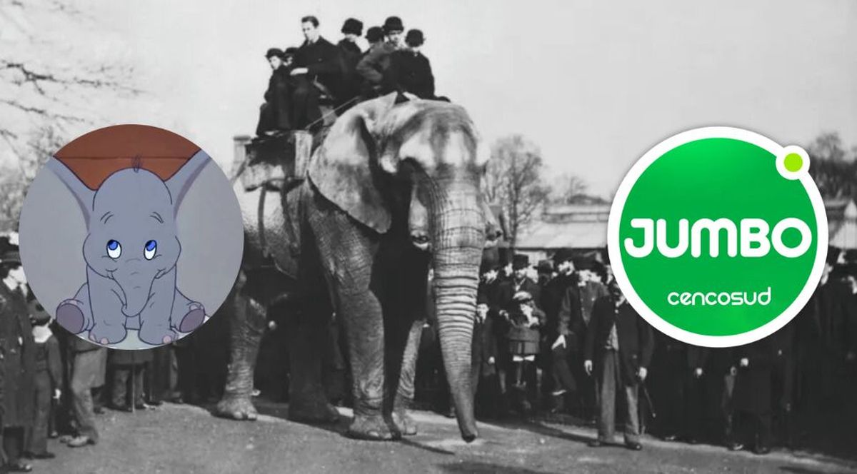 Jumbo inspiró a la cadena de supermercados y a la película de 1941.