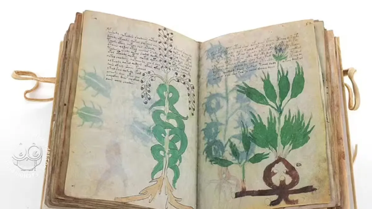 Cada varios años se dice que se descifró, pero el manuscrito Voynich sigue siendo un misterio Cada varios años se dice que se descifró, pero el manuscrito Voynich sigue siendo un misterio