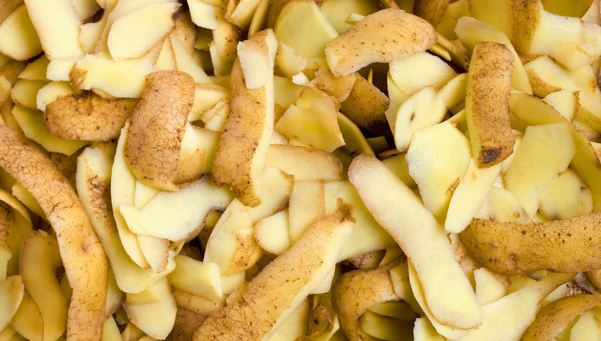 Las c&aacute;scaras de papa pueden ser ventajosas por sus altas propiedades antioxidantes, hipoglicemiantes e hipolipemiantes, adem&aacute;s de sus compuestos fen&oacute;licos.