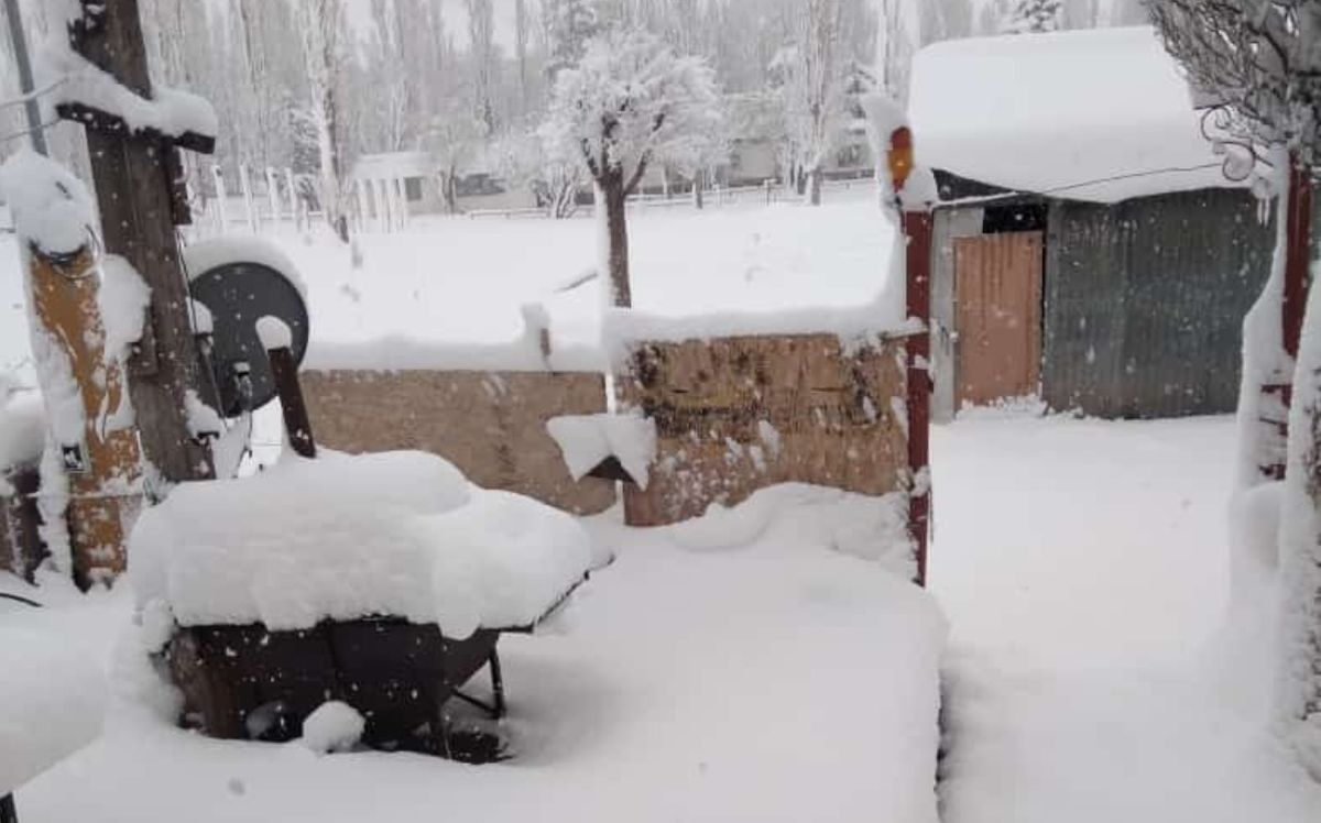 Así estaba Punta de Vacas esta mañana. Así estaba Punta de Vacas esta mañana.