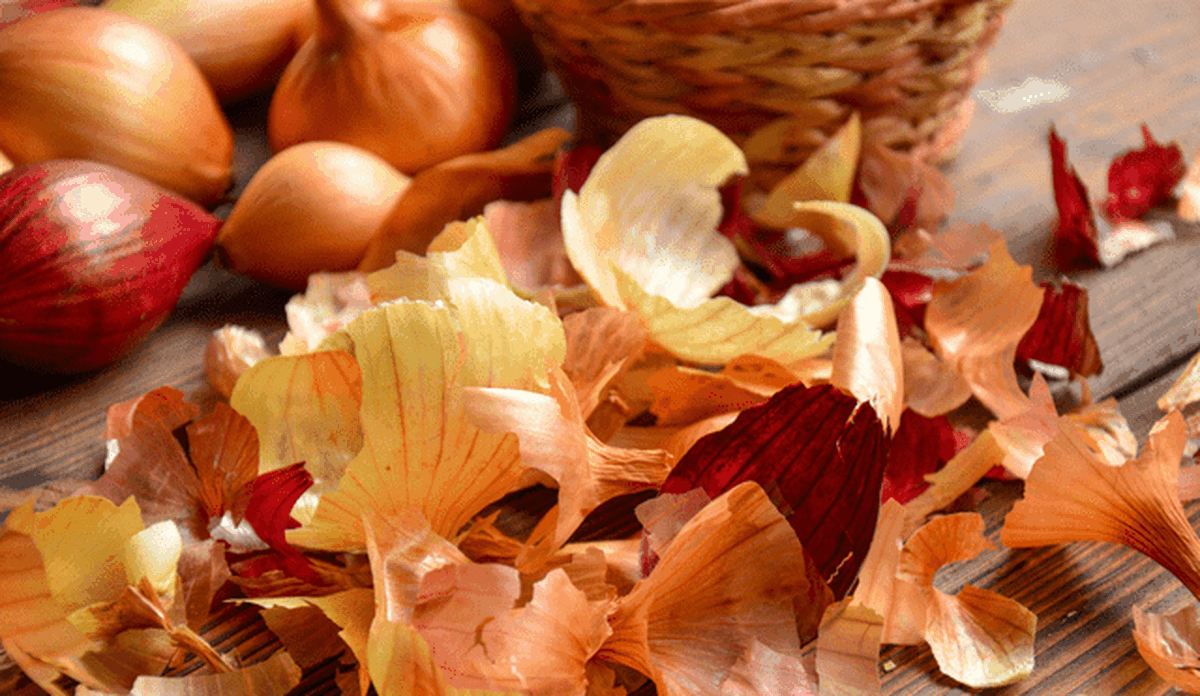 Colocar cáscaras de cebollas en el sol: por qué recomiendan hacerlo y para qué sirve Colocar cáscaras de cebollas en el sol: por qué recomiendan hacerlo y para qué sirve