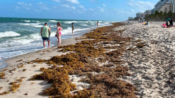 Estudio confirma lo peor: miles de playas están arruinadas para siempre Estudio confirma lo peor: miles de playas están arruinadas para siempre