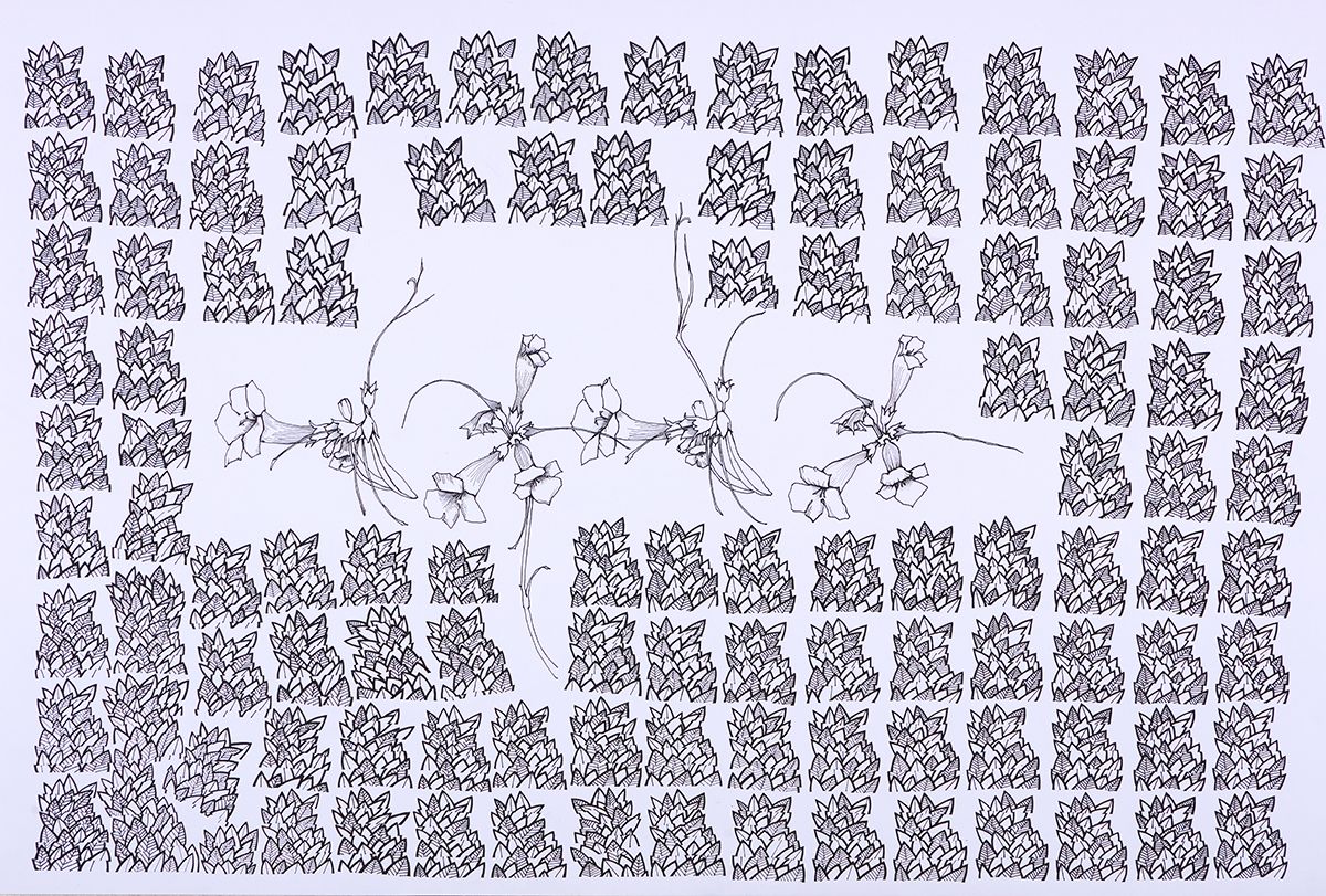 La naturaleza local reflejada a través del trazo de la artista plástica mendocina Martha Artaza