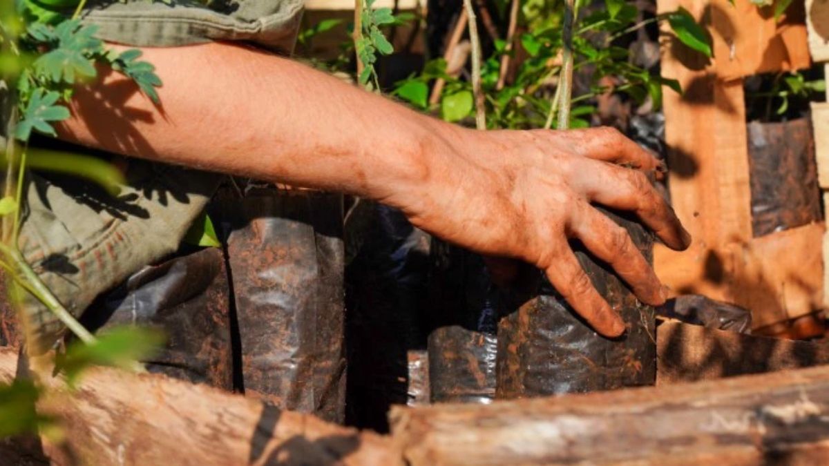 Restauración Comunidad Yryapú. Foto: Aves Argentinas Restauración Comunidad Yryapú. Foto: Aves Argentinas