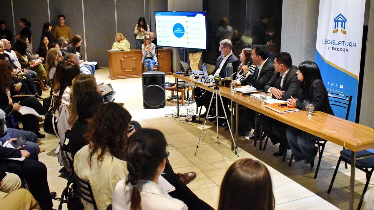 El ministro de Educación, Cultura e Infancias, Tadeo García Zalazar, presentó sus ejes de gestión para el 2025 en la Legislatura. El ministro de Educación, Cultura e Infancias, Tadeo García Zalazar, presentó sus ejes de gestión para el 2025 en la Legislatura.