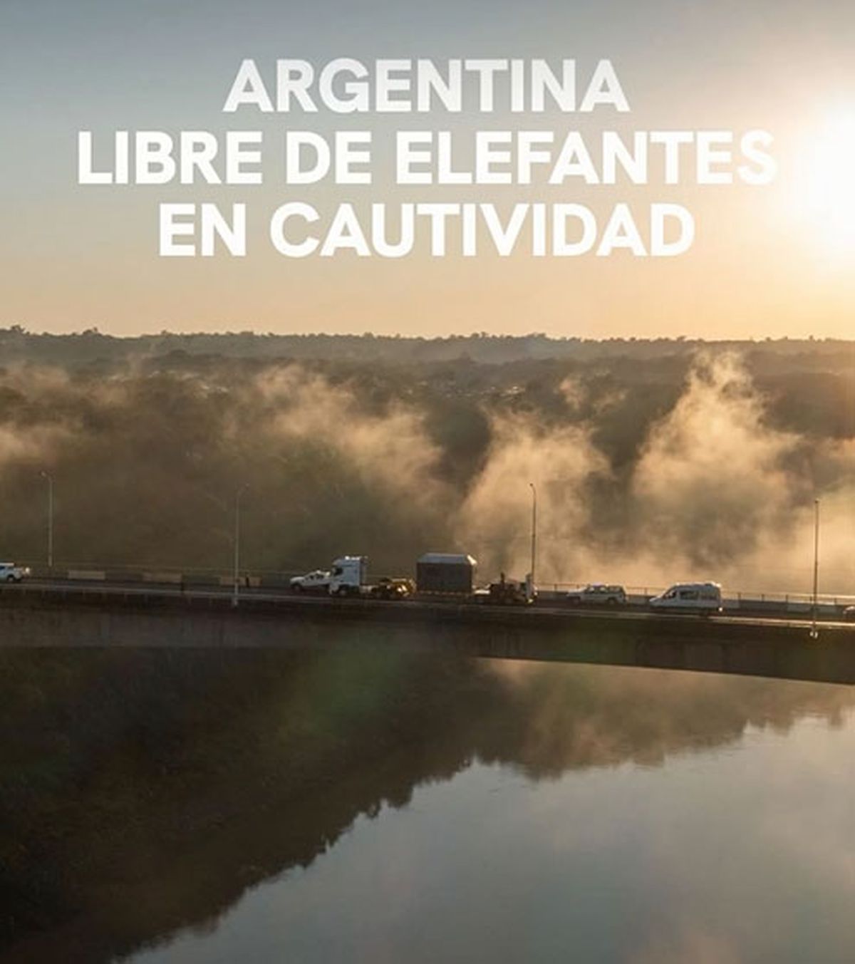 El posteo en las redes de quienes participan del traslado del último elefante en el país, en el momento que pisó suelo brasileño. El posteo en las redes de quienes participan del traslado del último elefante en el país, en el momento que pisó suelo brasileño.