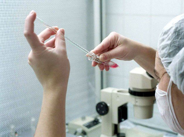 La paternidad por fertilización asistida estará regulada por ley