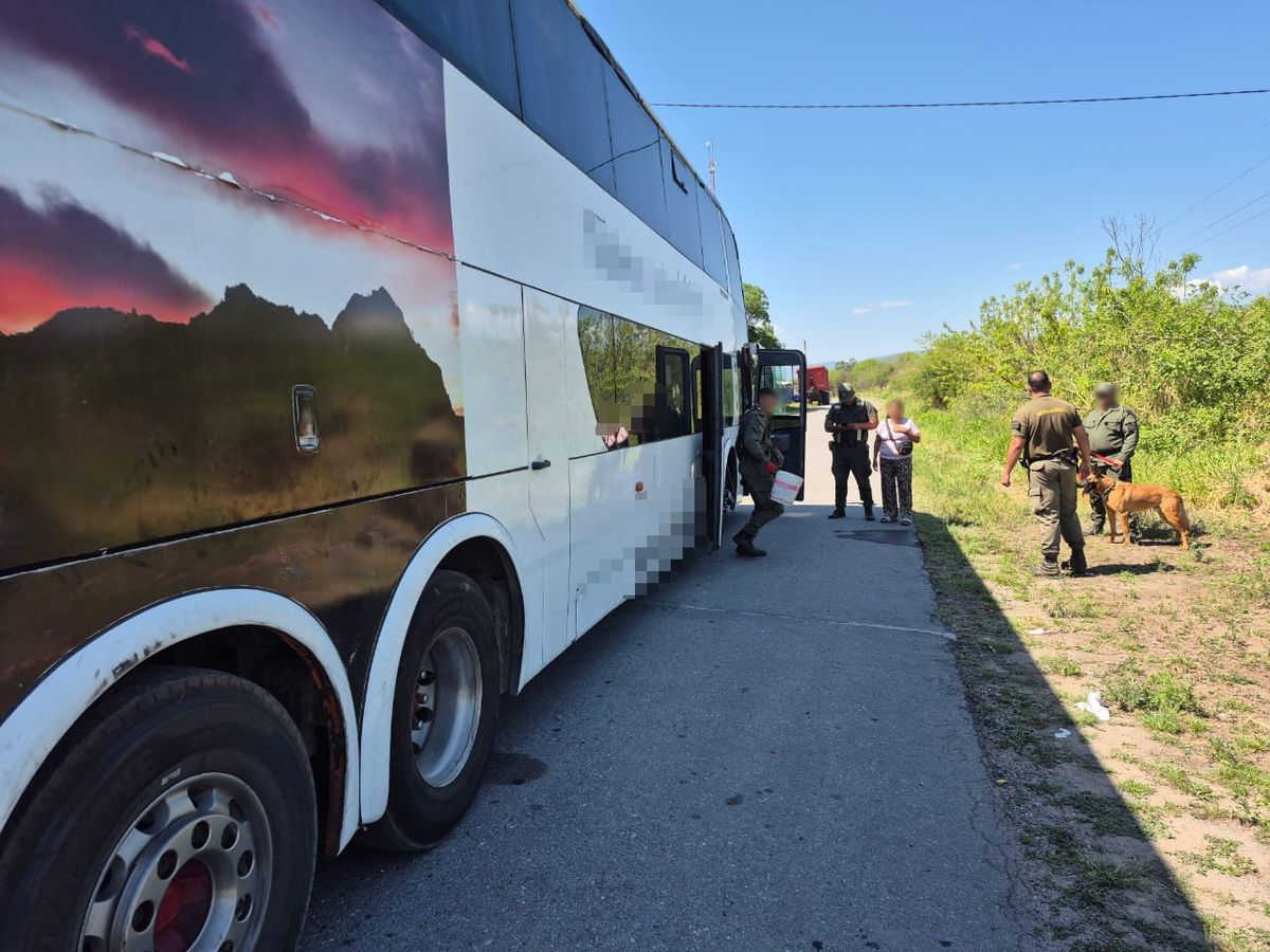 El hombre que transportaba la droga había embardunado los ladrillos con grasa y luego con papel film. Igualmente el cargamento fue detectado. El hombre que transportaba la droga había embardunado los ladrillos con grasa y luego con papel film. Igualmente el cargamento fue detectado.