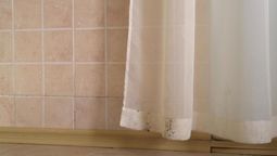 Elimina los hongos y las manchas de la cortina de baño con 1 ingrediente