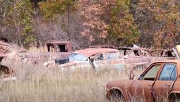 Una colección de autos abandonados fue encontrada pero la dueña la vende con una condición especial