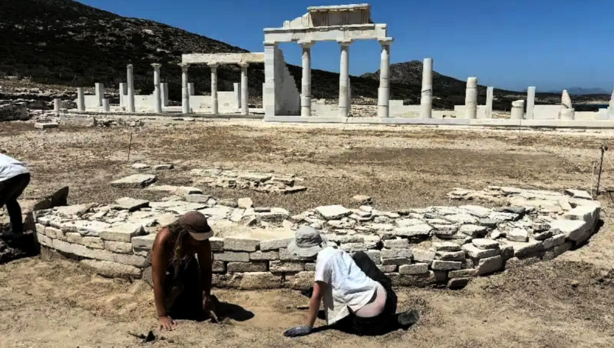 El descubrimiento de un milenario peine que dejó sin palabras a Alemania y el mundo El descubrimiento de un milenario peine que dejó sin palabras a Alemania y el mundo