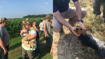 Una nena sobrevivió a la intemperie gracias a su perro
