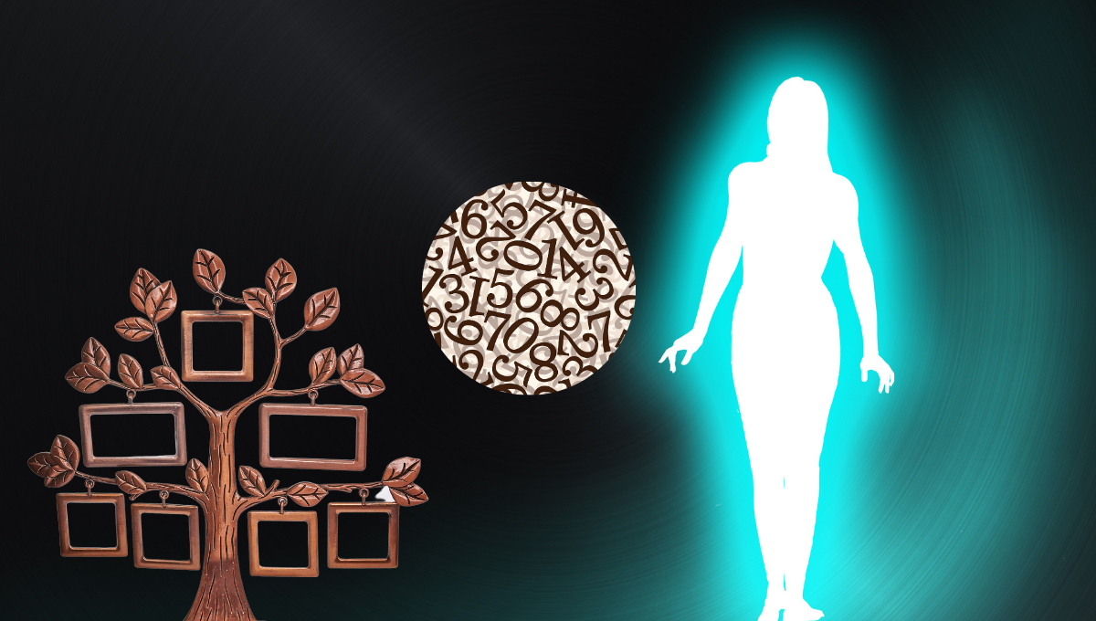 ¿Cúal es tu misión en el árbol genealógico, según tu número de alma?