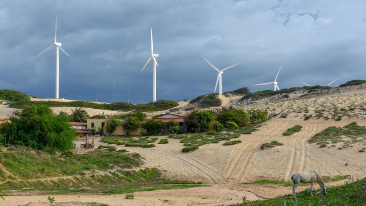 El dinero de la Unión Europea se destinará a más de 130 proyectos en los próximos cuatro años. (Foto: Alamy)