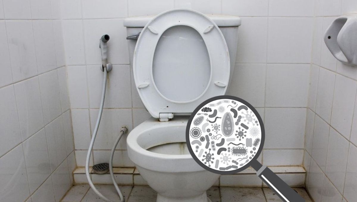 Estudio revela qué objetos de uso rutinario tienen más bacterias que un inodoro público.