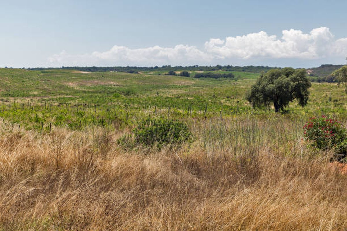 Estos programas fueron impulsados por la Ley de Asentamientos Rurales de 1862. Estos programas fueron impulsados por la Ley de Asentamientos Rurales de 1862.