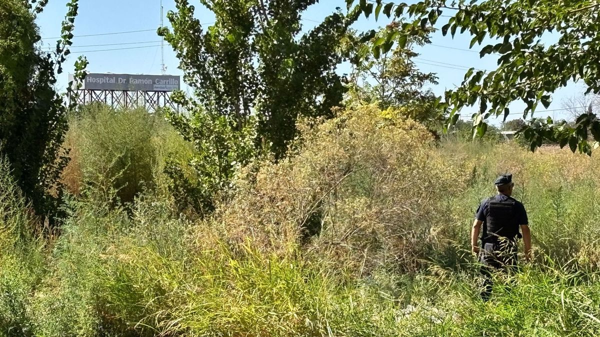 El baldío en Las Heras donde encontraron a Alejandra Cuevas quemada el miércoles a la mañana. El femicida se aseguró de esconderla allí. El baldío en Las Heras donde encontraron a Alejandra Cuevas quemada el miércoles a la mañana. El femicida se aseguró de esconderla allí.