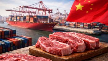 China ajusta a tres países de América del Sur con aranceles del 55% a la exportación de carne vacuna China ajusta a tres países de América del Sur con aranceles del 55% a la exportación de carne vacuna