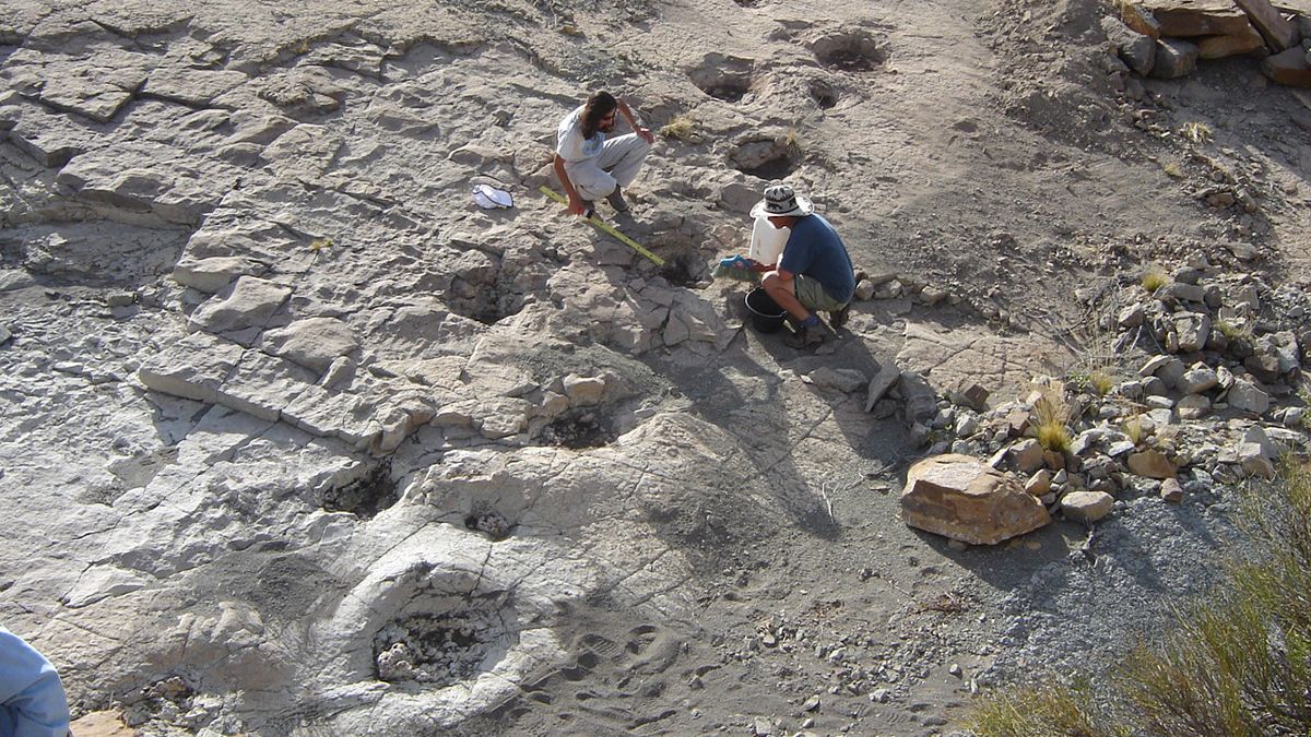 Los investigadores comparten sus hallazgos en el Parque Municipal Cretácico Huellas de Dinosaurios (Foto Télam).