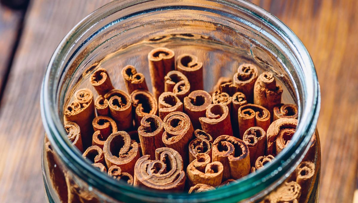 El vinagre y la canela juntas sus propiedades y beneficios para crear un producto impresionante. 