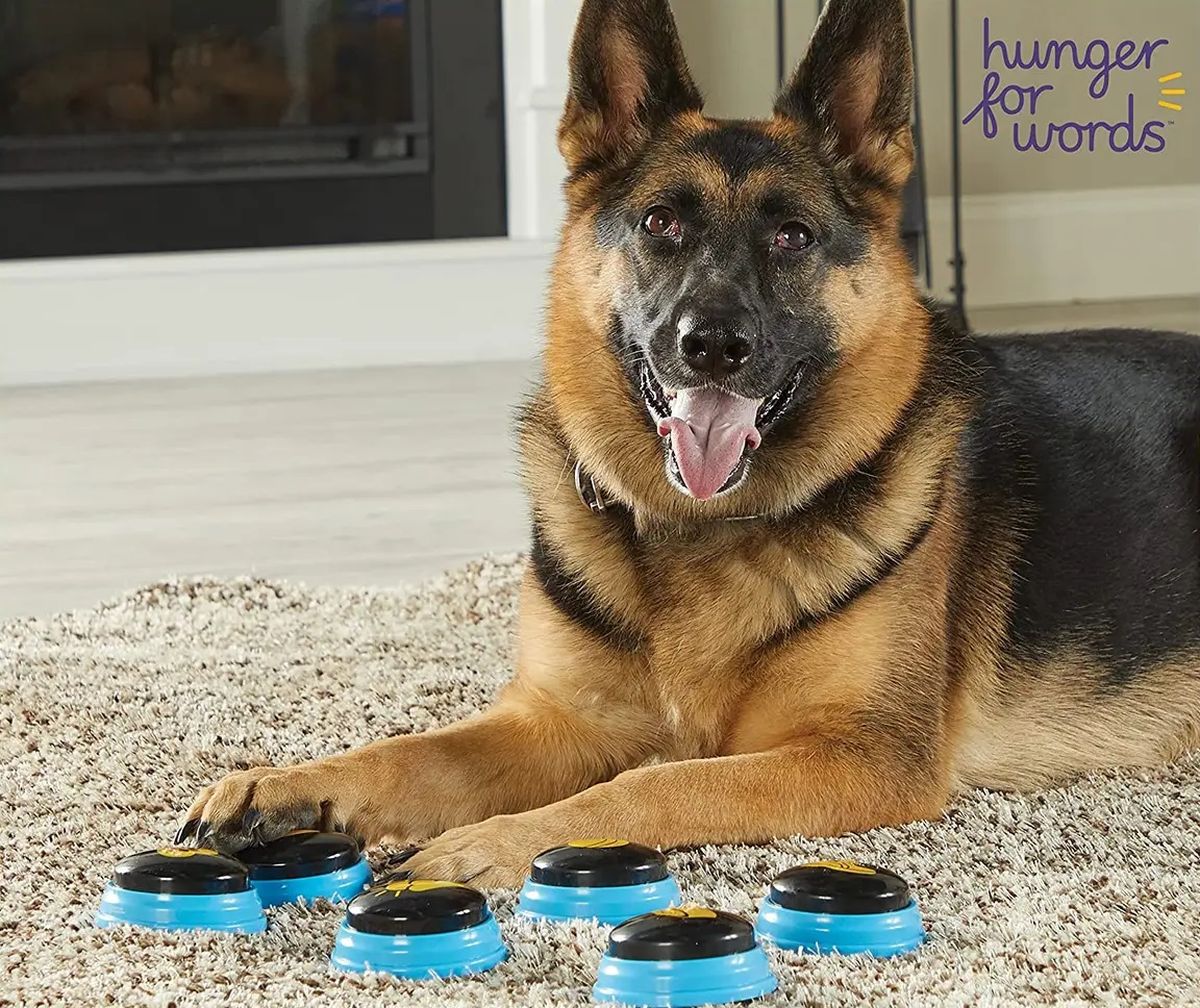 Cualquier perro puede aprender si se sigue la guía incluida con el producto. Cualquier perro puede aprender si se sigue la guía incluida con el producto.