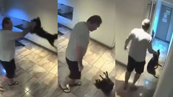 Máxima crueldad con su propio perro: se cansó de su mascota y la golpeó con total brutalidad Máxima crueldad con su propio perro: se cansó de su mascota y la golpeó con total brutalidad