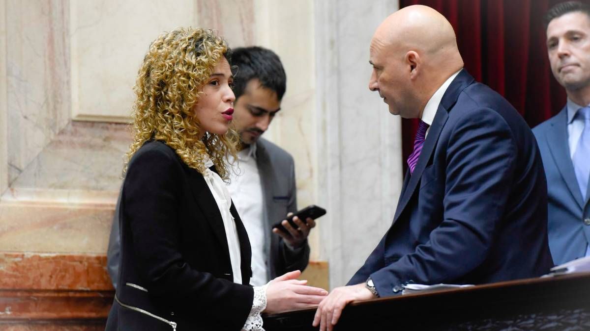 Lourdes Arrieta en la cámara de Diputados. Adelantó su apoyo a la universidad pública.