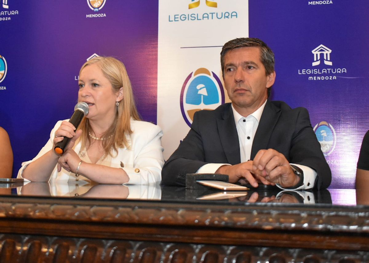 Hebe Casado y Andrés Lombardi fueron a la Corte para frenar que avance la Carta Orgánica de San Rafael