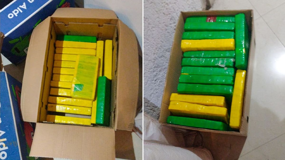 El resultado del allanamiento fue el secuestro de 90 kilos de cocaína, lo que representa 200.000 dosis y más de $1.000 millones. El resultado del allanamiento fue el secuestro de 90 kilos de cocaína, lo que representa 200.000 dosis y más de $1.000 millones.